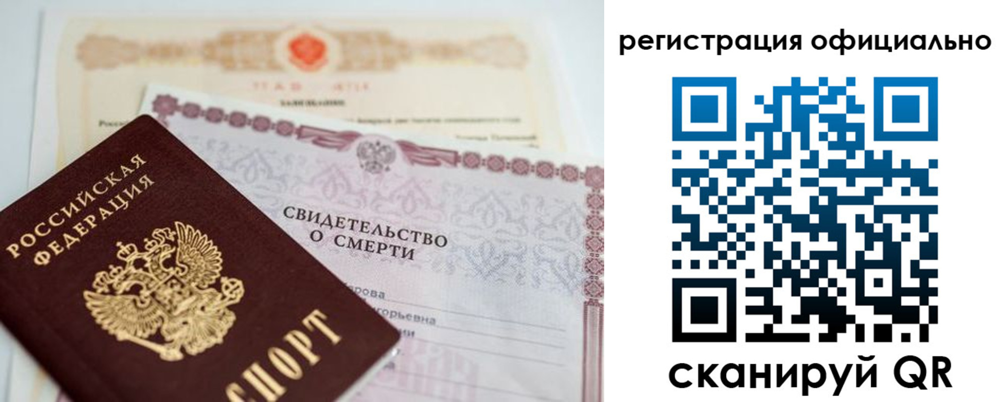 прописка 2025 в Елизово