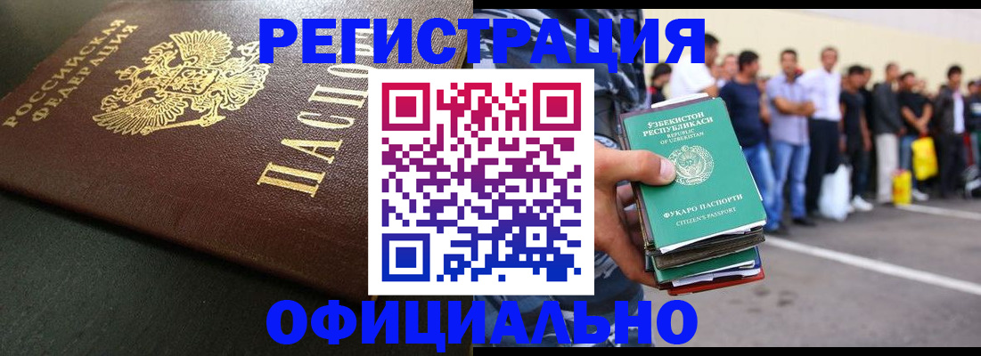 прописка 2025 в Елизово